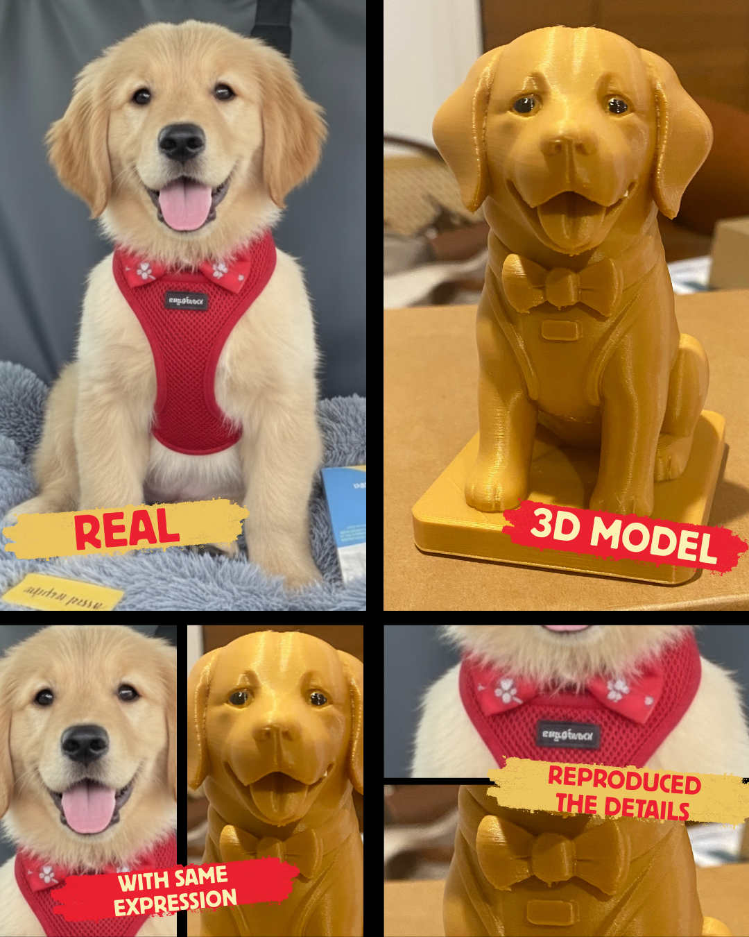 Customized Pet 3D Model