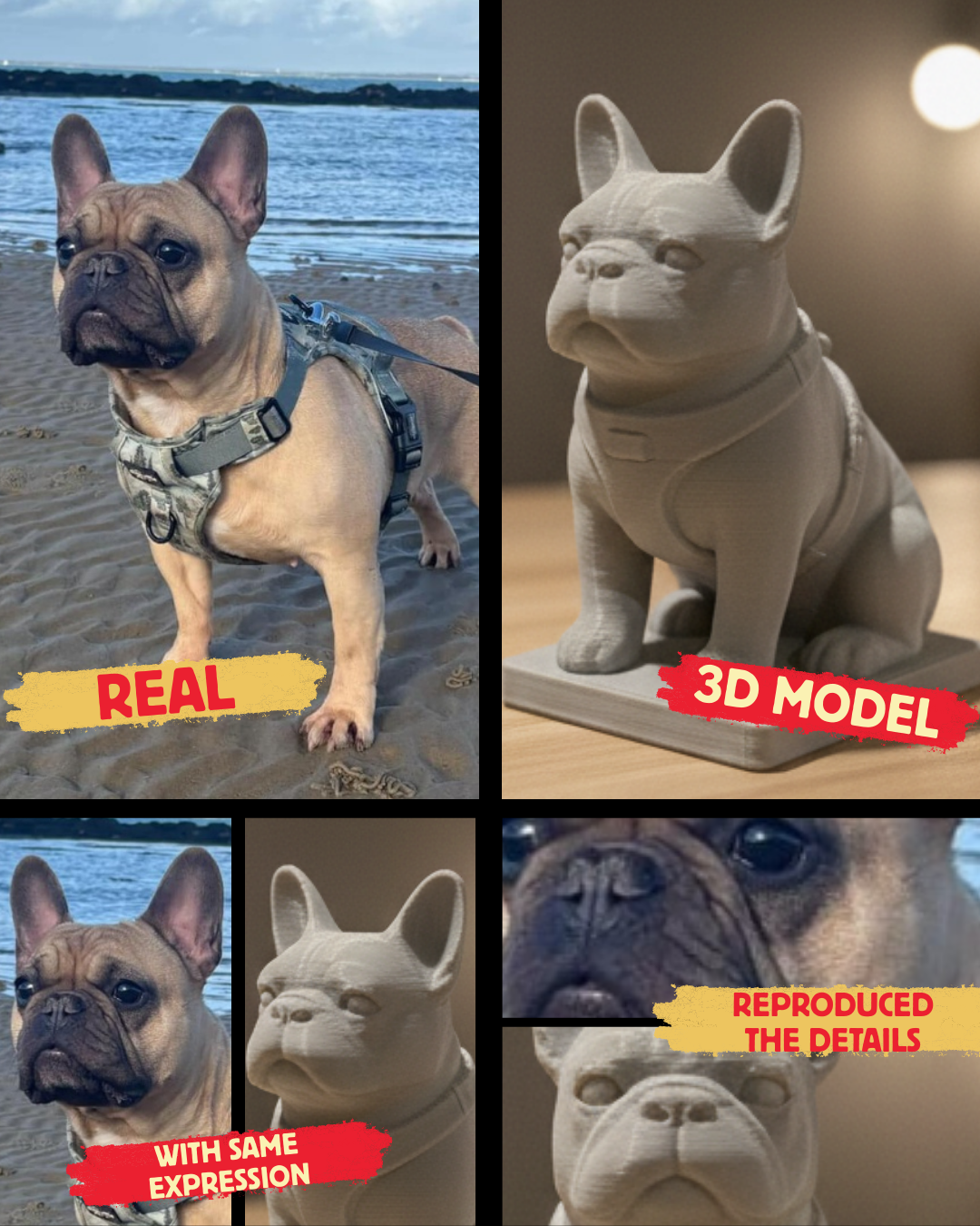 Customized Pet 3D Model